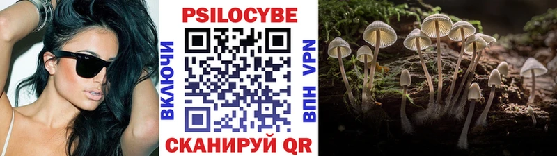 мориарти Telegram  Абакан  Галлюциногенные грибы Psilocybe 